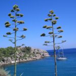 Rhodos Türkisblaues Meer Segelschiff Rhodos Türkisblaues Meer Segelschiff